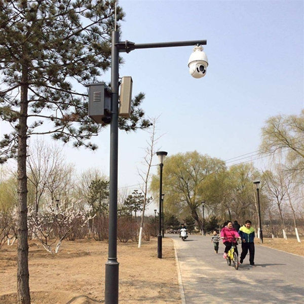 平凉路灯监控杆-LB-03