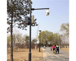 平凉路灯监控杆-LB-03