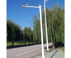 平凉监控杆-LB-01